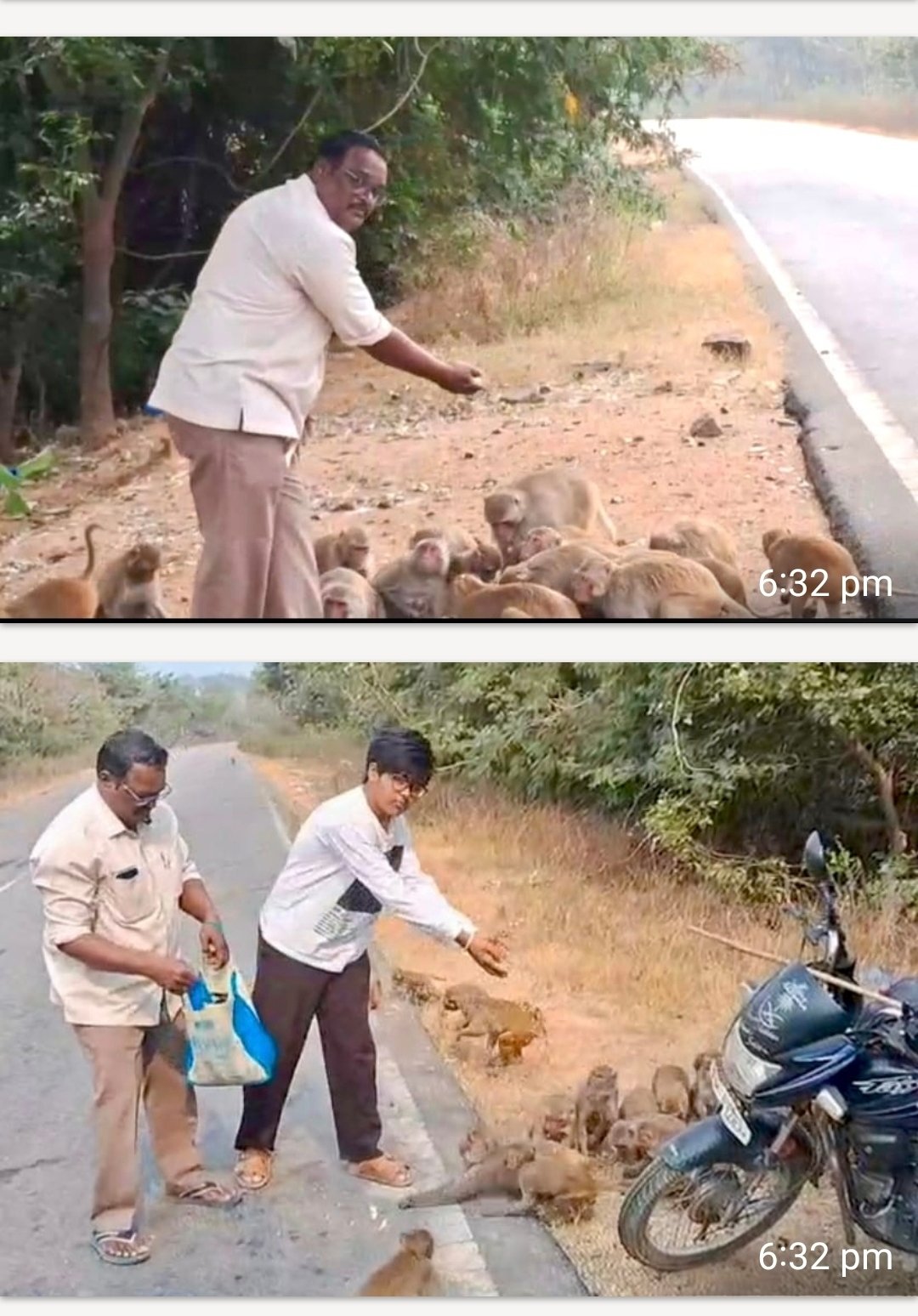మూగ జీవాలకు ఆహారా న్నందించి మానవత్వం చాటుకున్న మై వేములవాడ చారిటబుల్ ట్రస్ట్ సభ్యుడు